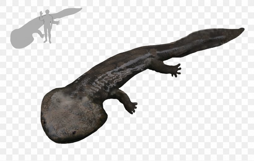 Aptian Amphibian Koolasuchus Cleelandi Leaellynasaura Temnospondyli, PNG, 2390x1521px, Aptian, Amphibian, Cretaceous, Crocodiles, Dinosaur Download Free