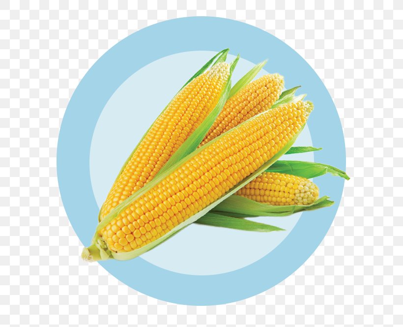 Corn On The Cob Maize Corn Kernel Sweet Corn Ingredient, PNG, 665x665px, Corn On The Cob, Chemical Substance, Coconut, Coconut Oil, Commodity Download Free