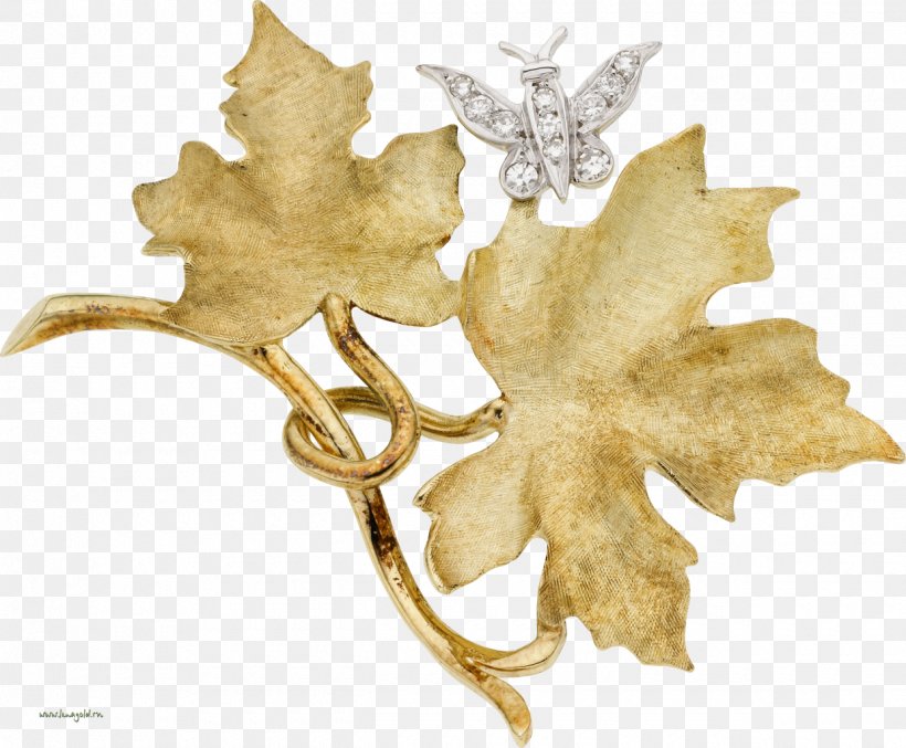 Leaf Прикраса Brooch Clip Art, PNG, 1240x1024px, Leaf, Brooch, Elephantidae, Jewellery, Megabyte Download Free