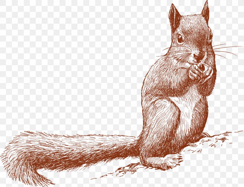 Little Squirrel Holding Fruit, PNG, 1000x770px, Squirrel, Cartoon, Chipmunk, Drawing, Fauna Download Free