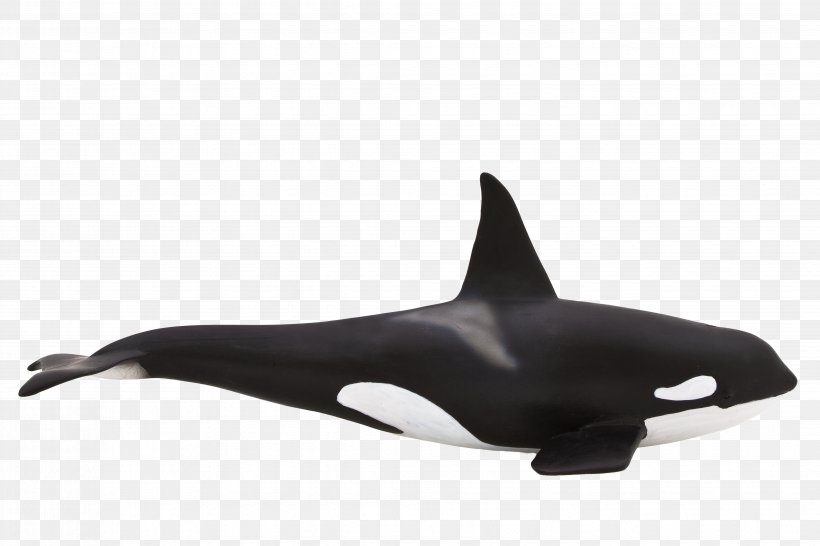 Toy Killer Whale Cetacea Doll Animal, PNG, 4124x2749px, Toy, Animal, Cetacea, Child, Collectable Download Free