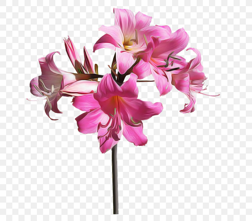 Floral Design, PNG, 648x720px, Floral Design, Artificial Flower, Cut Flowers, Flower, Flower Bouquet Download Free