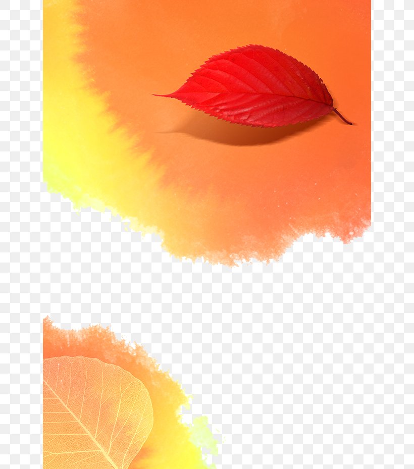 Leaf Poster Wallpaper, PNG, 650x929px, Leaf, Advertising, Autumn, Deciduous, Orange Download Free