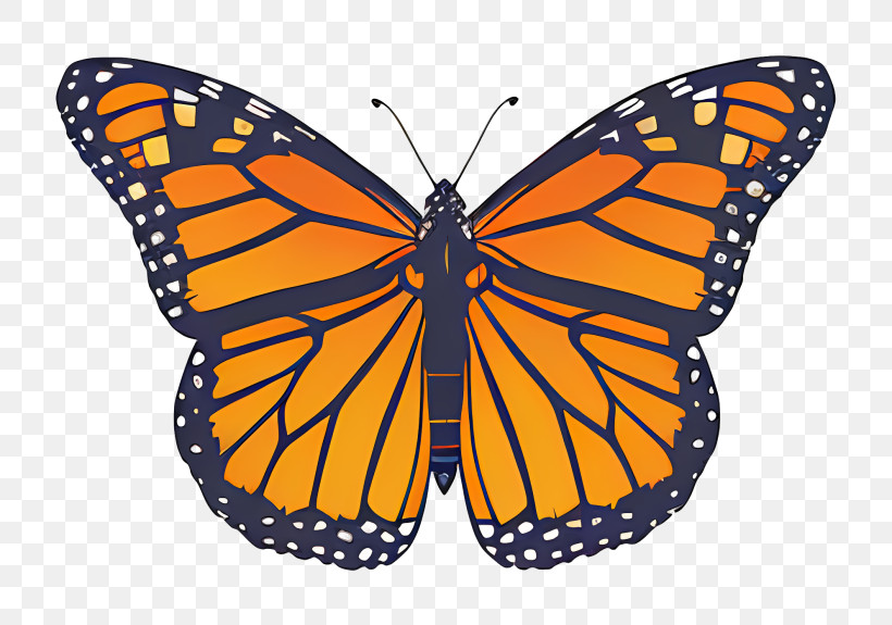 Monarch Butterfly - Orange Monarch Butterfly Illustration PNG