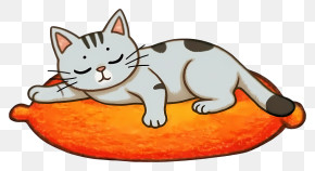 Sleeping Cartoon Cat - Gray Sleeping Cat On Orange Pillow PNG