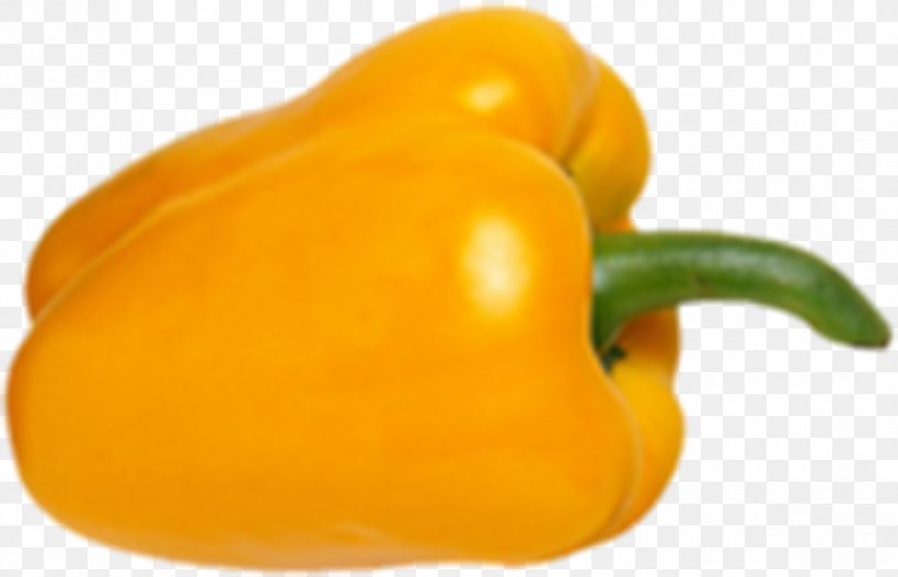 Vegetable Cartoon, PNG, 1932x1242px, Habanero, Bell Pepper, Capsicum, Chili Pepper, Food Download Free