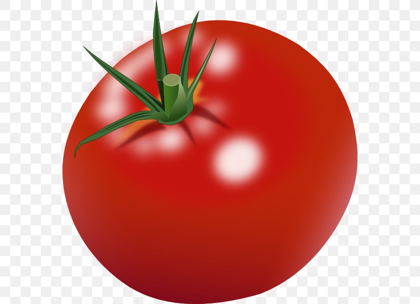 Cherry Tomato Free Content Clip Art, PNG, 576x594px, Cherry Tomato, Apple, Bush Tomato, Diet Food, Food Download Free