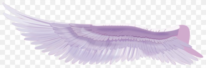 Feather Purple Eyelash, PNG, 2708x904px, Feather, Eyelash, Lilac, Purple, Violet Download Free