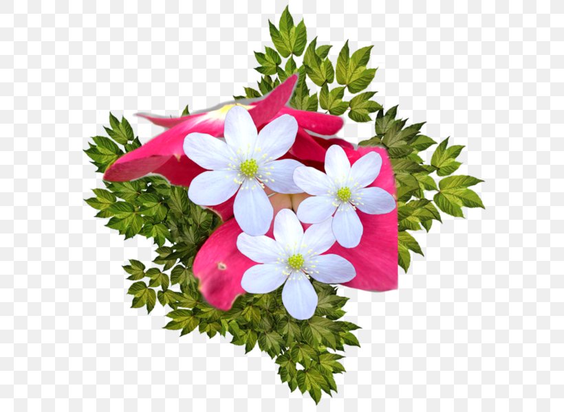 Floral Design Photography Picture Frames, PNG, 600x600px, Floral Design, Annual Plant, Birthday, Cut Flowers, Floristry Download Free