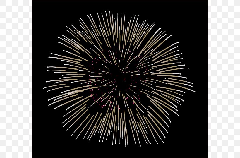 Fireworks Animation Clip Art, PNG, 600x540px, Fireworks, Animation, Cartoon, Drawing, Event Download Free