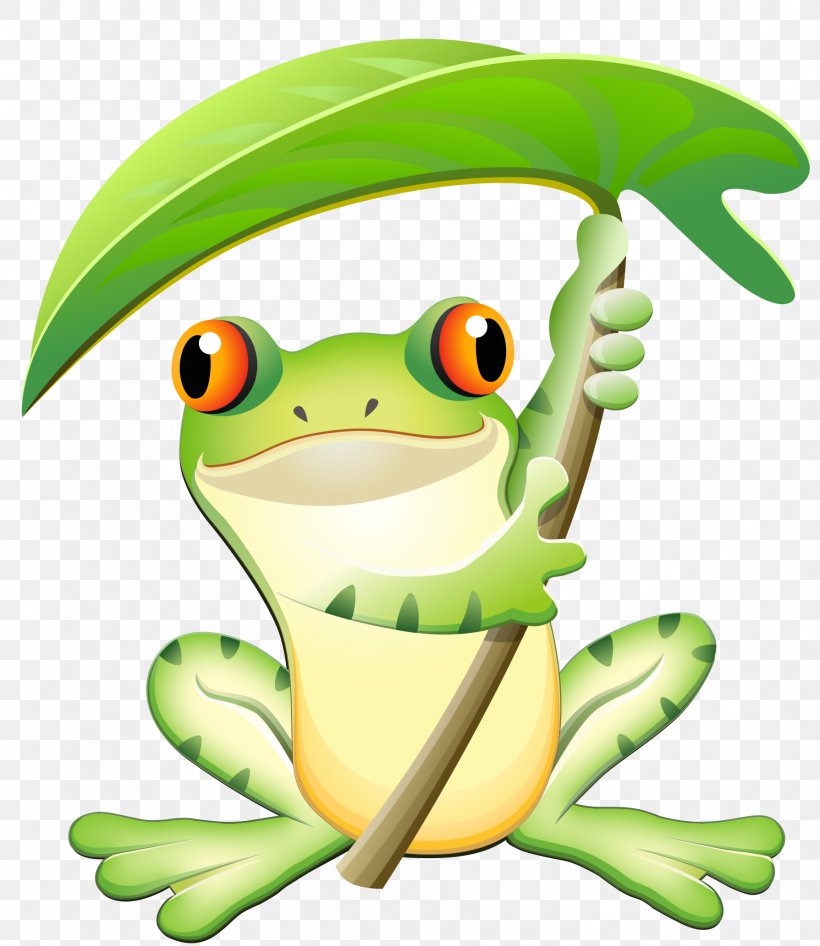 Tree Frog Health True Frog Therapy, PNG, 1789x2066px, Frog, Amphibian, Bach Flower Remedies, Cartoon, Diet Download Free