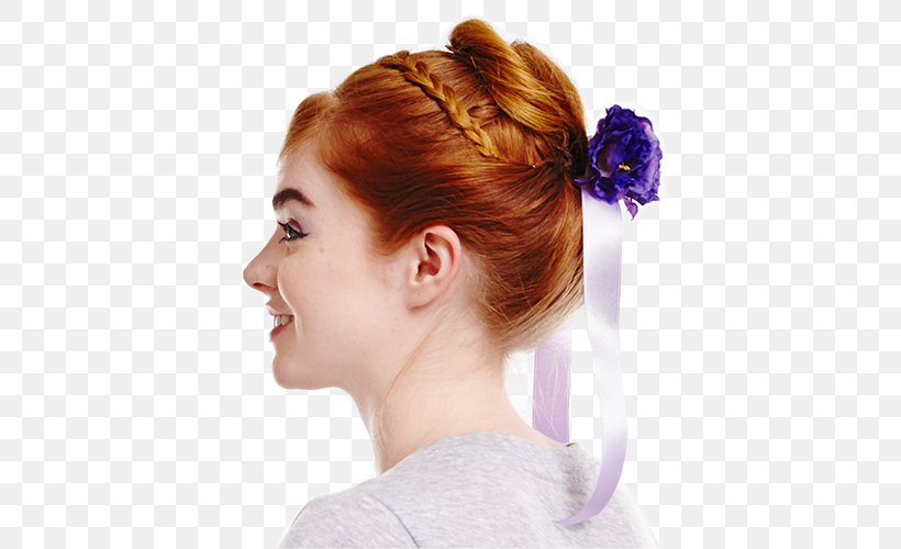 Elsa Anna Frozen Bun Hair Tie Png 500x500px Elsa Anna Braid