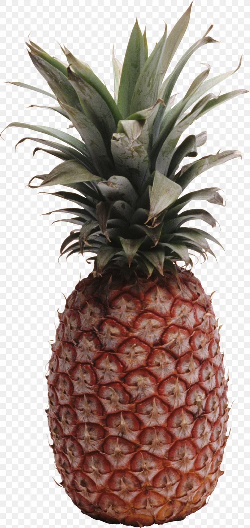 Pineapple Fruit Clip Art, PNG, 1291x2724px, Juice, Ananas, Berry, Bromeliaceae, Flowerpot Download Free