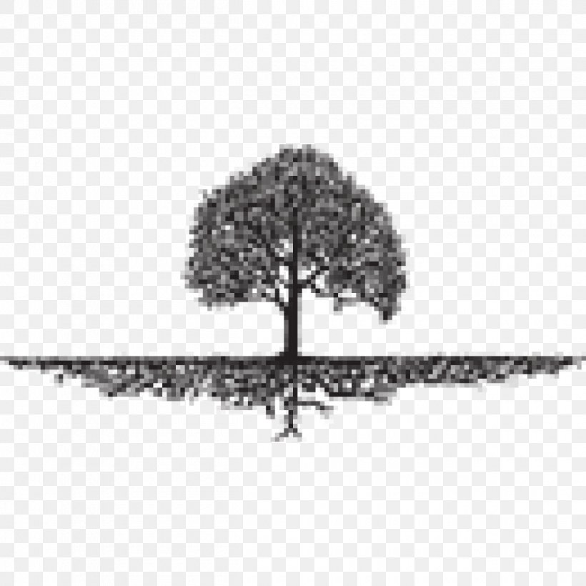 Roots: The Saga Of An American Family Tree Organization Landscaping, PNG, 1260x1260px, Tree, Black And White, Branch, Family Tree, Genealogy Download Free