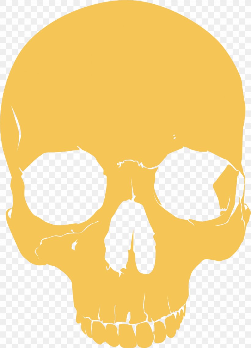 Skull, PNG, 1578x2184px, Skull, Area, Bone, Definition, Designer Download Free