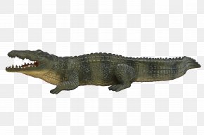Dinosaur Statue - Alligator Cartoon PNG