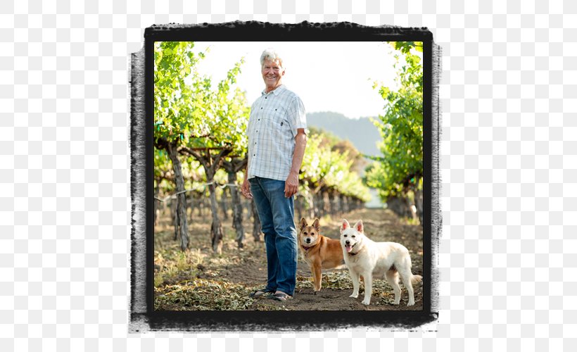 Hoopes Vineyard Dog Breed Obedience Training Winery, PNG, 500x500px, Hoopes Vineyard, Breed, Craft, Dog, Dog Breed Download Free