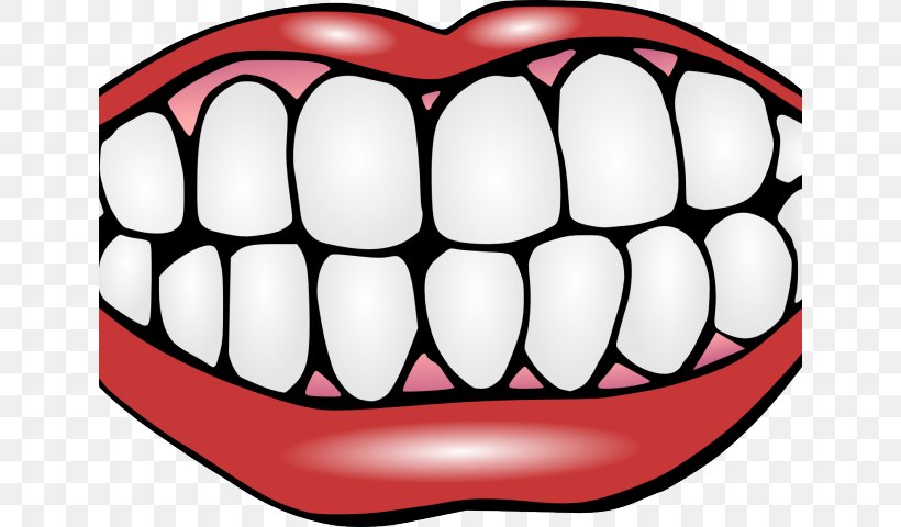 Clip Art Human Tooth Dentistry Tooth Whitening, PNG, 640x480px, Watercolor, Cartoon, Flower, Frame, Heart Download Free