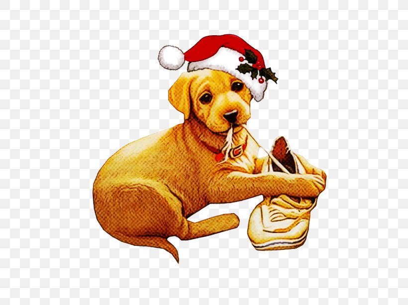 Dog Golden Retriever Sporting Group Vizsla Labrador Retriever, PNG, 715x614px, Dog, Dog Breed, Golden Retriever, Great Dane, Labrador Retriever Download Free