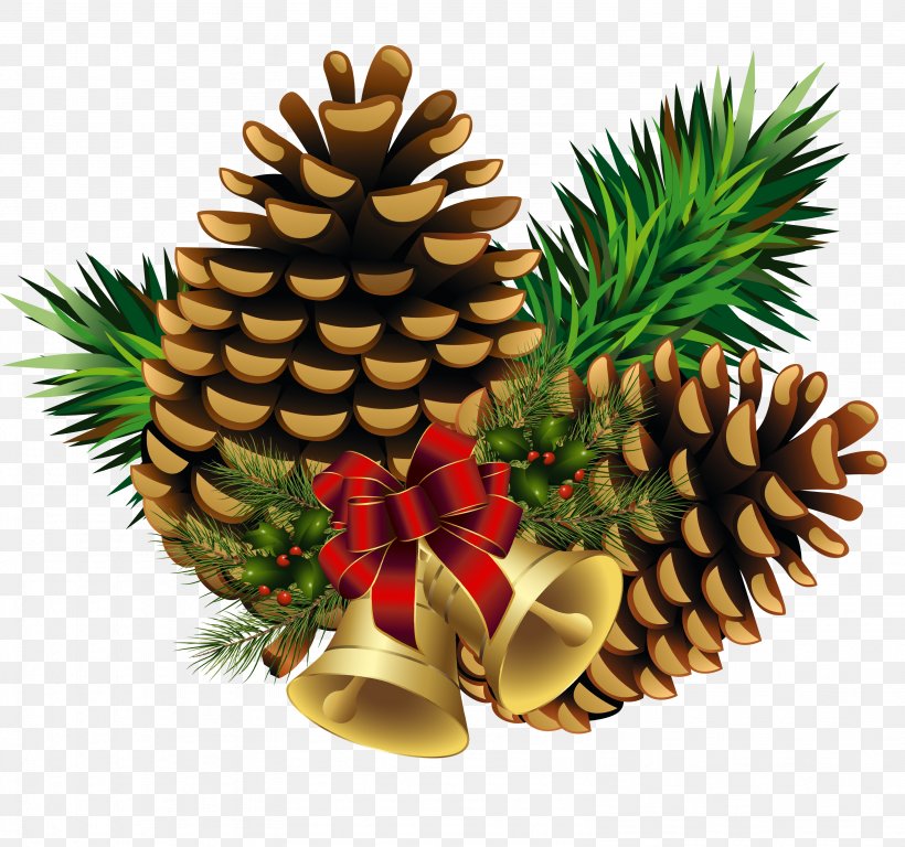 Eastern White Pine Conifer Cone Conifers, PNG, 3174x2974px, Pine, Christmas Decoration, Christmas Ornament, Cone, Conifer Download Free
