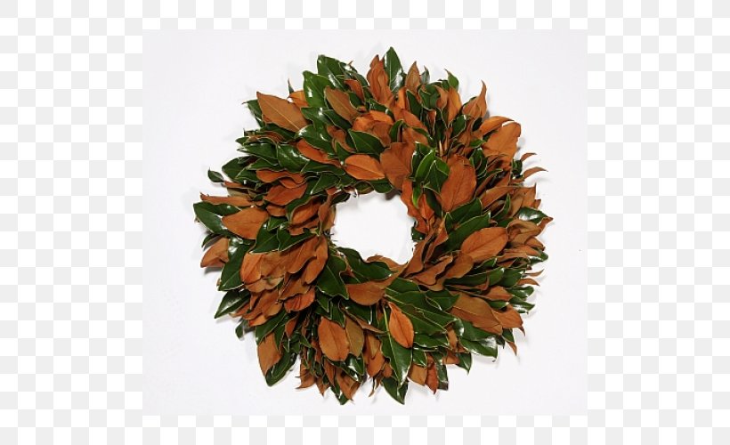 Fruit Tree Magnolia Wreath, PNG, 500x500px, Tree, Berry, Conifer Cone, Decor, Fruit Download Free