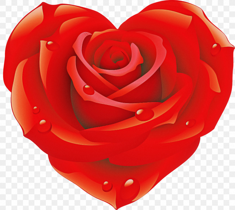 Garden Roses, PNG, 1600x1435px, Red, Floribunda, Flower, Garden Roses, Heart Download Free