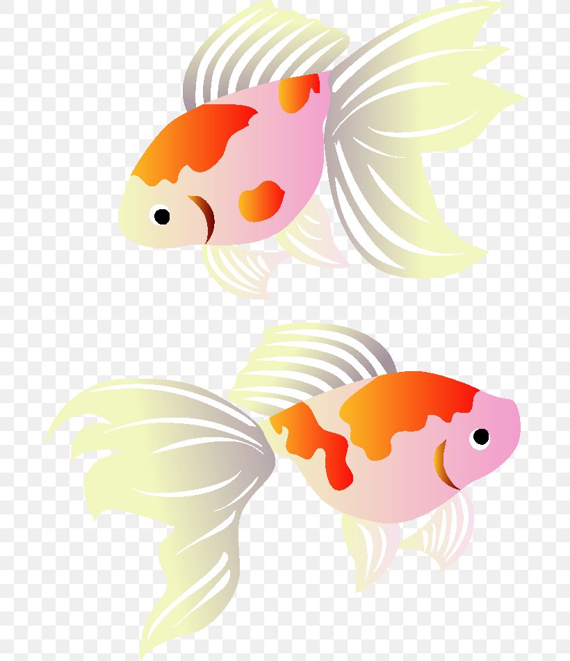 Goldfish Post Cards Koi Illustration Greeting, PNG, 689x951px, Goldfish, Aquarium, Fish, Greeting, Koi Download Free