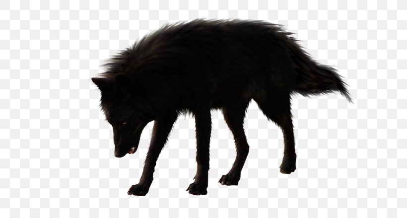 Gray Wolf Black Wolf, PNG, 658x440px, Gray Wolf, Black Wolf, Dog Like Mammal, Fur, Mammal Download Free
