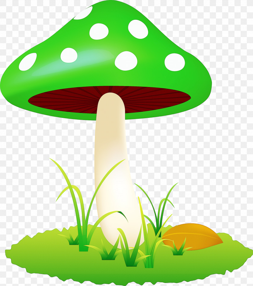 Mushroom, PNG, 2652x3000px, Mushroom, Grass, Green, Plant, Plant Stem Download Free