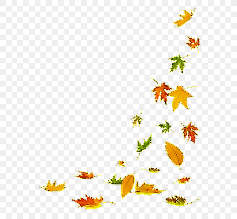 Autumn Leaves Background, PNG, 616x760px, Stock Photography, Autumn, Autumn Leaf Color, Autumn Leaves, Flower Download Free