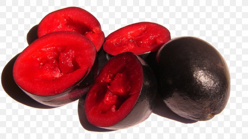 Davidson's Plum Australian Cuisine Bush Tucker Food Davidsonia Jerseyana, PNG, 1142x640px, Australian Cuisine, Beetroot, Bush Tucker, Cranberry, Dried Fruit Download Free