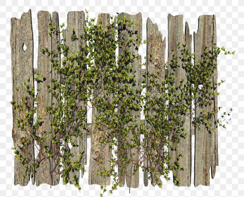 Fence Garden Clip Art, PNG, 1167x944px, Fence, Birch, Boom Barrier, Computer Graphics, Garden Download Free