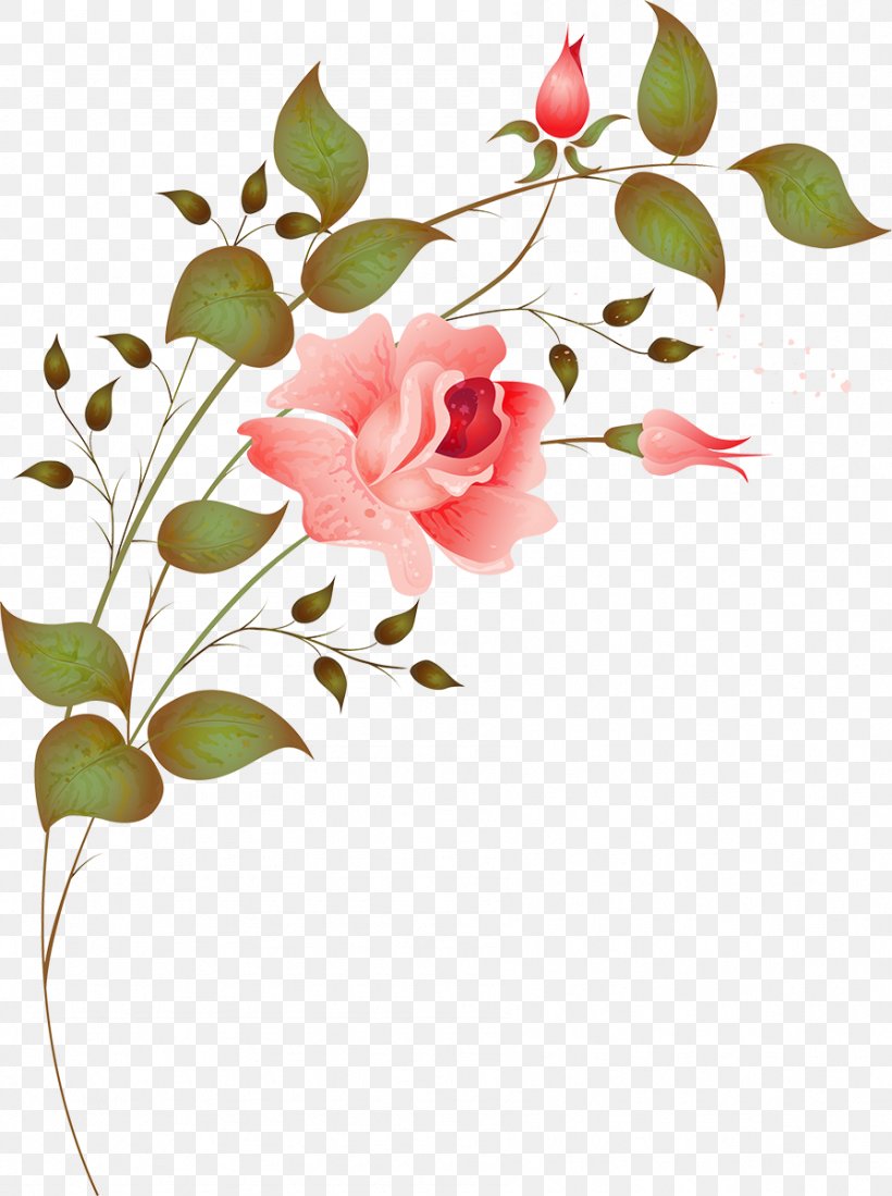 Flower Design Rose Image Illustration, PNG, 895x1200px, Flower, Art, Blossom, Botany, Branch Download Free