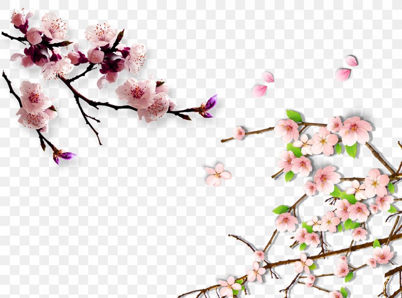 Lucerne China Cherry Blossom Hanami Plum Blossom, PNG, 1198x888px, Lucerne, Apricot, April, Blossom, Branch Download Free