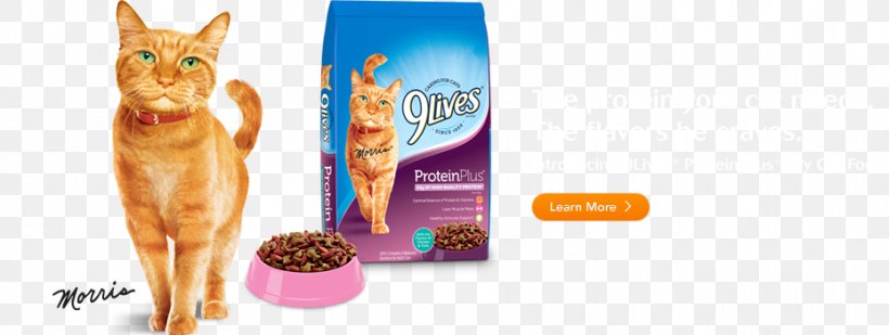 Cat Food 9Lives Pet Food, PNG, 930x351px, Cat Food, Cat, Eating, Food, Food Web Download Free