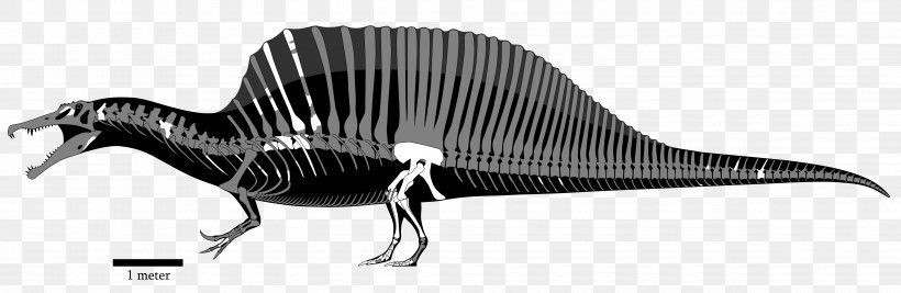 Spinosaurus Tyrannosaurus Acrocanthosaurus Giganotosaurus Baryonyx, PNG, 4750x1550px, Spinosaurus, Acrocanthosaurus, Animal, Animal Figure, Ark Survival Evolved Download Free