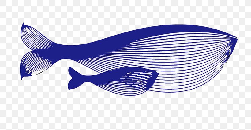 Blue Whale, PNG, 800x424px, Whale, Blue, Blue Whale, Brand, Cartoon Download Free