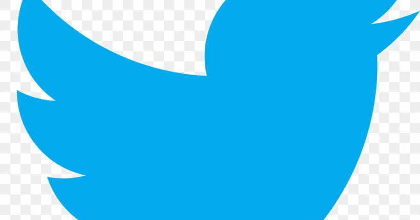 Social Media, PNG, 1200x630px, Social Media, Aqua, Azure, Beak, Blog Download Free