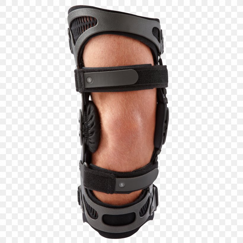 Knee Arthritis Knee Osteoarthritis Breg, Inc., PNG, 1024x1024px, Knee, Arthritis Pain, Breg Inc, Elbow Pad, Joint Download Free