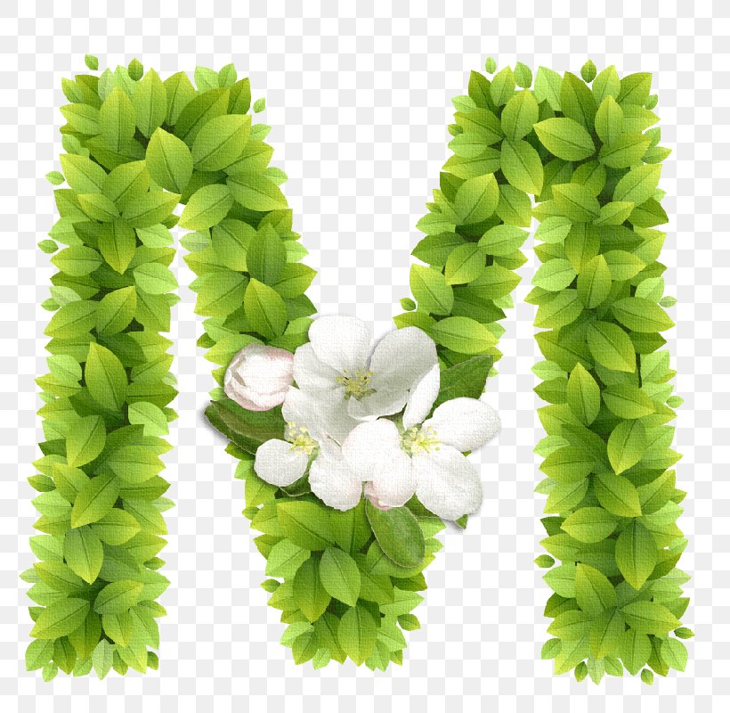 Letter Alphabet Writing System Clip Art, PNG, 800x800px, Letter, Alphabet, Cursive, Cut Flowers, Flower Download Free
