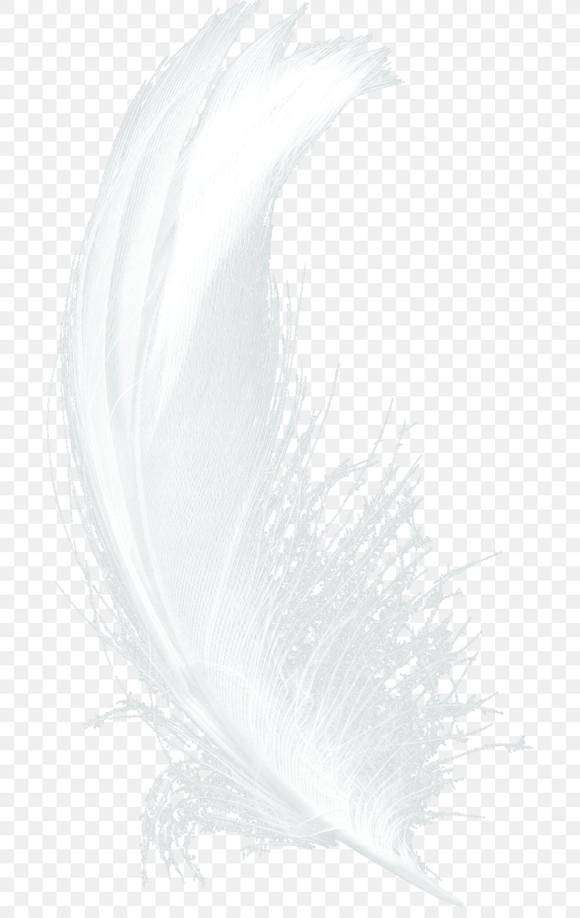 Feather White Drawing Black, PNG, 690x1297px, Feather, Bird, Black, Black And White, Drawing Download Free