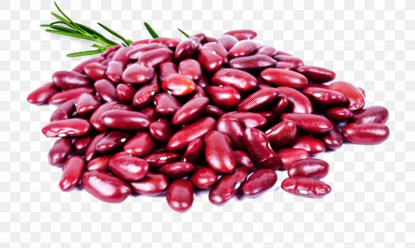 Food Azuki Bean Bean Ricebean Plant, PNG, 1000x600px, Food, Azuki Bean, Bean, Common Bean, Cranberry Bean Download Free