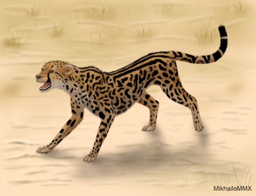 King Cheetah Asiatic Cheetah Lion South African Cheetah DeviantArt, PNG, 1200x919px, King Cheetah, Art, Asiatic Cheetah, Big Cat, Big Cats Download Free