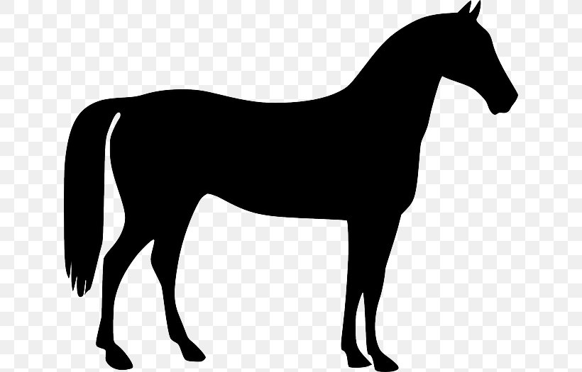 Mustang American Quarter Horse Stallion Pony, PNG, 640x525px, Mustang, American Quarter Horse, Black, Black And White, Bridle Download Free