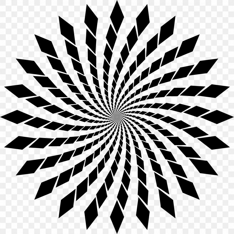 Optical Illusion Fraser Spiral Illusion Spin Mind, PNG, 2337x2336px, Optical Illusion, Black And White, Brain, Color, Eye Download Free