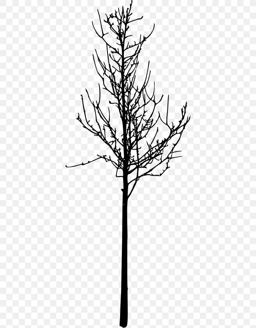 Clip Art Silhouette Image Tree, PNG, 400x1049px, Silhouette, American Larch, Blackandwhite, Branch, Drawing Download Free