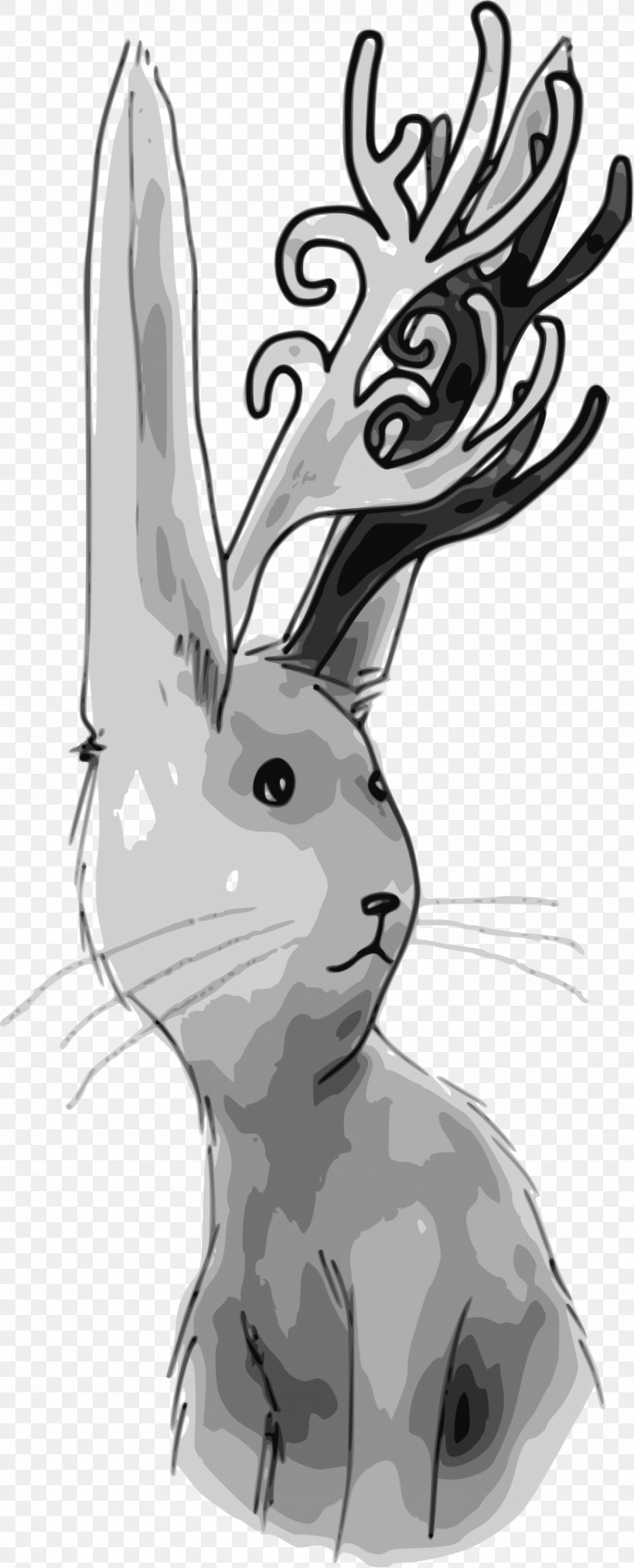 Rabbit Line Art Clip Art, PNG, 870x2151px, Rabbit, Antler, Art, Artwork, Black And White Download Free