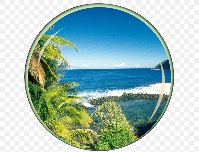 Saint-Denis Sainte-Marie, Réunion Mauritius Island Hotel Travel, PNG, 640x626px, Saintdenis, Caribbean, France, Holiday Home, Hotel Download Free
