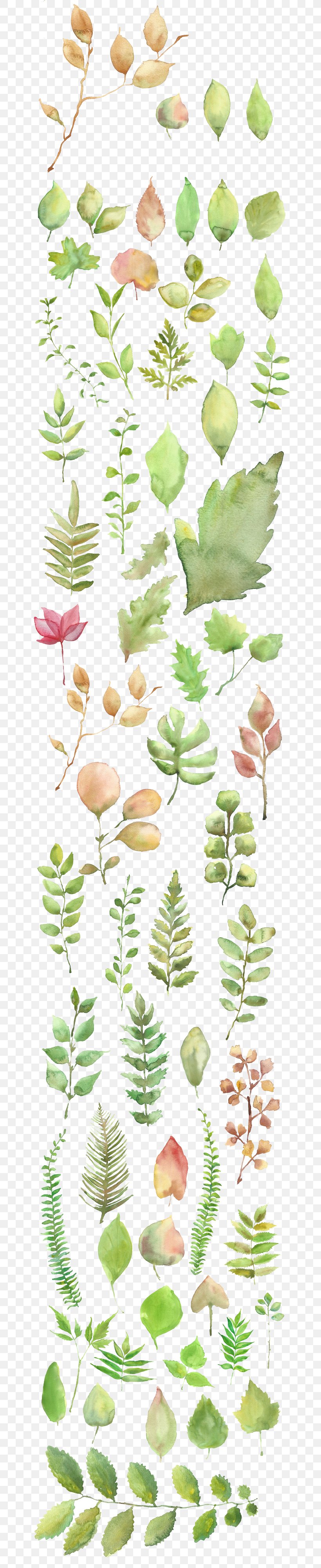 Watercolor Painting Shading, PNG, 658x4010px, Watercolor Painting, Drawing, Flora, Floral Design, Flower Download Free