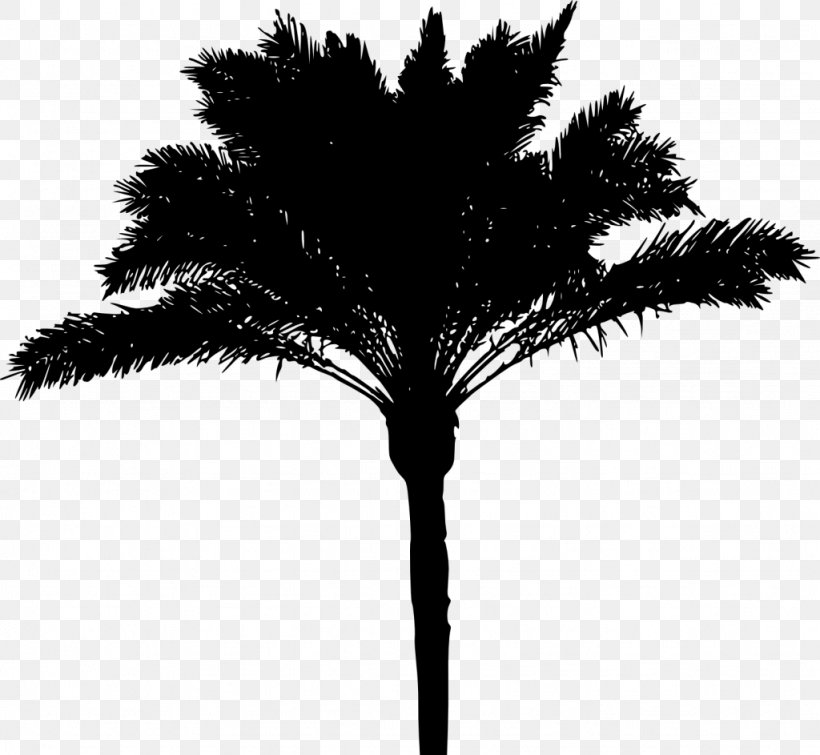 Asian Palmyra Palm Arecaceae Silhouette, PNG, 1024x943px, Asian Palmyra Palm, Arecaceae, Arecales, Black And White, Borassus Flabellifer Download Free